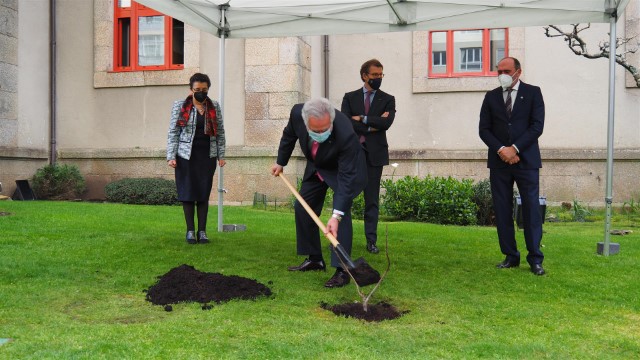 O Parlamento de Galicia súmase á celebración do Día de Rosalía coa plantación dunha figueira procedente da casa museo da poetisa